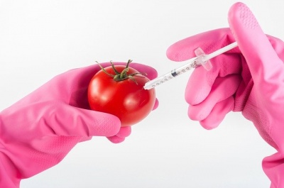 ГМО запретить невозможно разрешить!